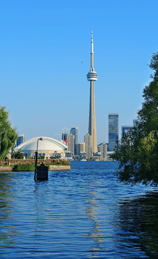 Comfytravel|Home New