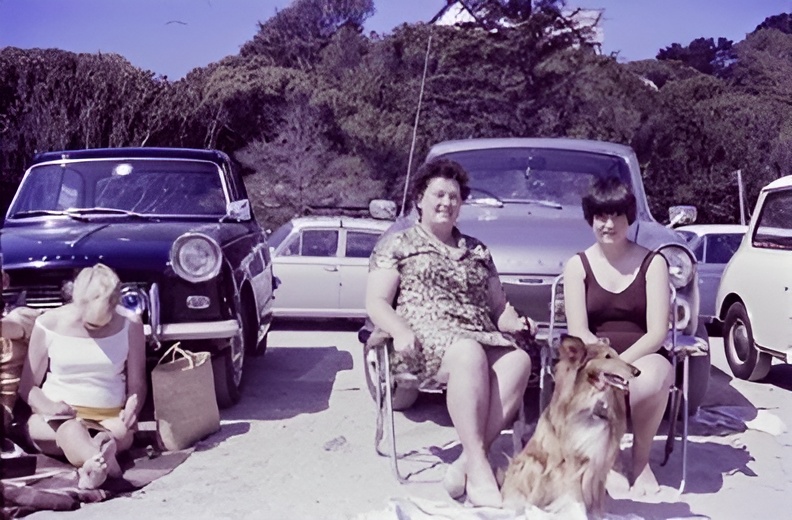 Comfytravel|Emergency and Planned Respite Travel