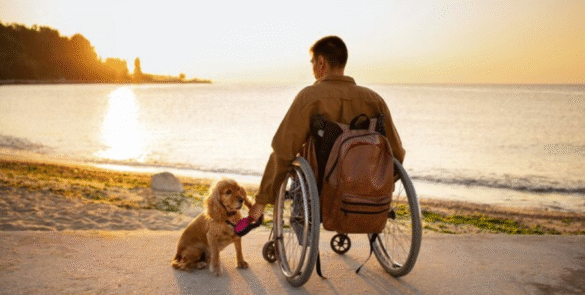 Top 10 Wheelchair Friendly Getaways in NSW & VIC | Accessible Coastal Holidays 